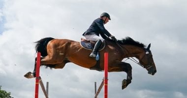 مصرع شاب أثناء التنزه بركوب الخيل في الهرم