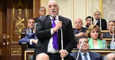 رئيس حقوق الإنسان بالشيوخ يشيد بدور القوات المسلحة فى ذكرى العاشر من رمضان