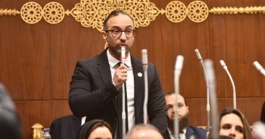 الحمامصى: القيادة السياسية تدير التحديات الإقليمية بحكمة وتحمي الاقتصاد الوطني