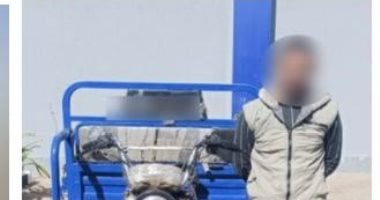 ذكاء مواطن وكاميرا يكشفان سرقة تروسيكل بالمنيا.. الداخلية تضبط اللص