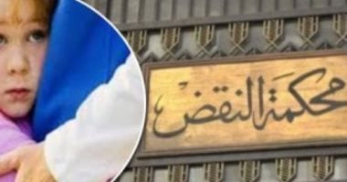 تحويل الأب للجنايات فى اتهامه بخطف ابنه من الحاضنة فى هذه الحالة.. برلمانى