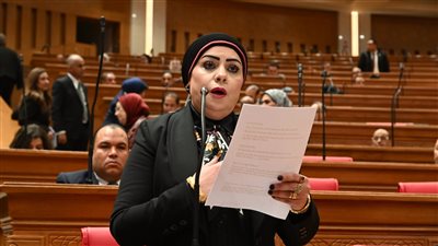 البيان المشترك لمجلسي النواب والشيوخ يعكس موقف مصر الحازم تجاه الأشقاء ورفض أي عدوان خارجي