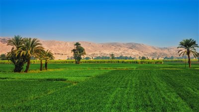 فرصة أخيرة لتسوية أوضاع الأراضي المملوكة للدولة قبل انقضاء المهلة القانونية