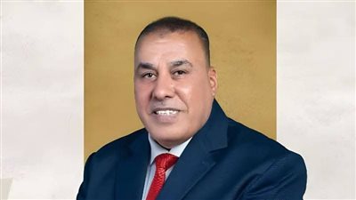 الدولة المصرية تقوم بجهود مكثفة لاحتواء الأزمات الإقليمية