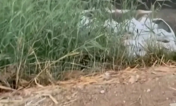 إنقلاب سيارة أجرة بترعة مياه غرب محافظة الأقصر