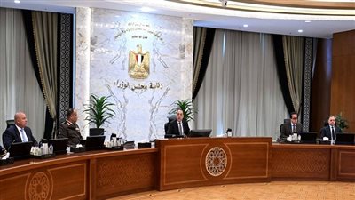 كل وزارة ستكون مسئولة عن تفعيل الإجراءات الخاصة بترشيد استهلاك الكهرباء بها