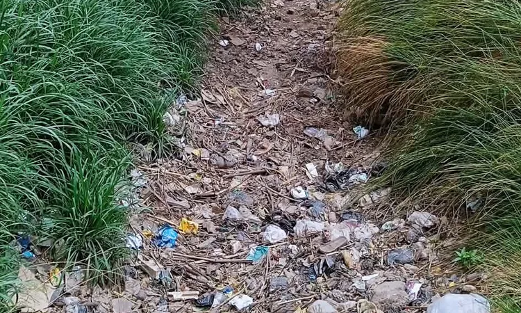 الترعة بلا مياه.. صرخة مزارعي الجمالية بقنا: العطش يهدد 50 فدانًا من المحاصيل الزراعية