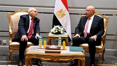 توجيهات الرئيس السيسي لوزارة الخارجية للوقوف بجانب الدول العربية يعكس إدراكاً لخطورة اللحظة وإعلاءً لروح الأخوة والتضامن