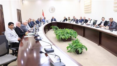 إنشاء فروع لجامعات مصرية في الخارج توجه رئيسي للوزارة