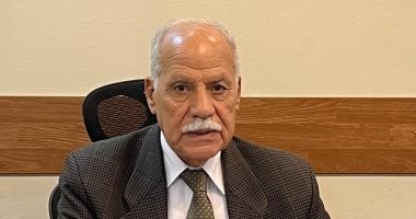 العربي الناصري: التكاتف الوطني صمام الأمان في مواجهة تداعيات الأزمات