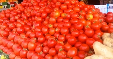الطماطم بـ50 جنيها والبطاطس بـ15.. أسعار الخضراوات والفاكهة بأسوان