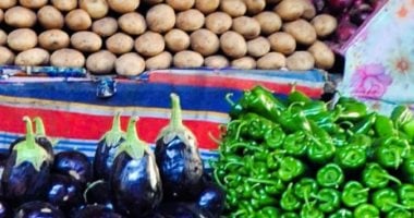 كيلو الطماطم كام؟ أسعار الخضراوات فى محافظة المنيا اليوم الثلاثاء