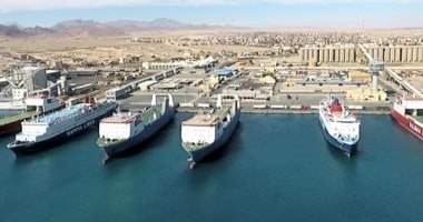 تداول 23 ألف طن و913 شاحنة بضائع عامة ومتنوعة بموانئ البحر الأحمر