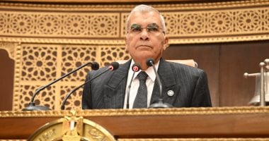 مجلس الشيوخ يستكمل مناقشة تعديل قانون المستشفيات الجامعية الأحد المقبل