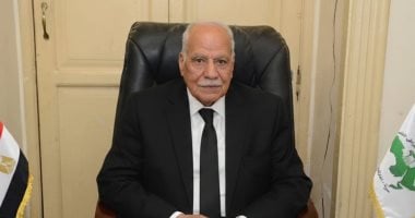 العربى الناصرى: تحركات الرئيس السيسي بالخليج تؤكد أن معركة الأمن واحدة