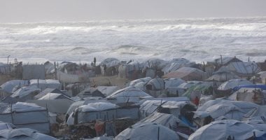 برلمانى: مصر تصدت لمحاولات التهجير وحافظت على الهوية الفلسطينية
