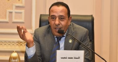 النائب محمد شعيب: رؤية الرئيس السيسي في إدارة الأزمات درع أمان لمصر