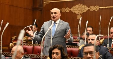 النائب شعبان رأفت: الحكومة تسير بخطوات استباقية لضمان استقرار الأسواق والطاقة