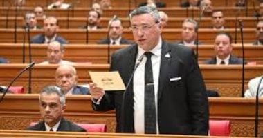 نائب: الهجوم الإسرائيلى على «صحاب الأرض» يعكس قوة الدراما