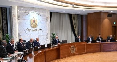 الحكومة تستعد بخطة عمل واضحة لتفعيل وتوسيع أطر التعاون مع دول القارة الأفريقية