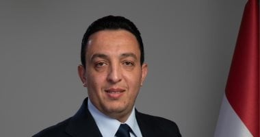 مصطفى أبو زهرة: القيادة السياسية حصّنت مصر وسط عواصف الإقليم