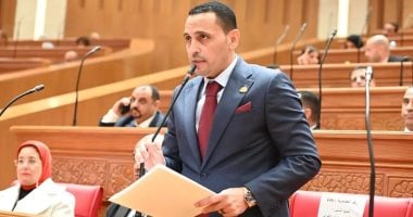 النائب إسلام التلوانى: جهود لدعم الجاليات المصرية وسط التوترات الإقليمية