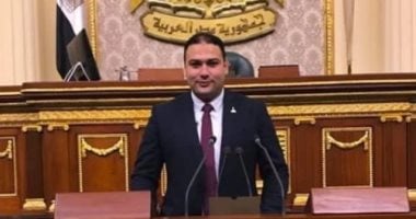 النائب إبراهيم الديب: الرئيس السيسي يضع المجتمع الدولي أمام مسؤولياته لإنهاء الحرب في غزة