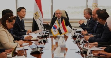 وزير الاستثمار يلتقي القائم بأعمال سفارة كوريا الجنوبية للتعاون في مجال الصناعة