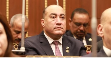 برلمانى: تحركات الرئيس السيسى تؤكد جهود مصر لمنع توسيع الصراع بالمنطقة