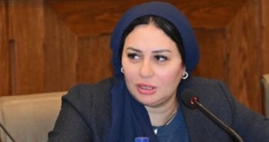 نائبة بالشيوخ تتقدم باقتراح برغبة لتعديل قانون الرؤية.. اعرف التفاصيل