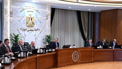 مصر تبذل جهودًا مكثفة على مختلف المستويات لوقف الحرب