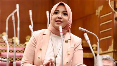 مجلس النواب ينظر الأحد في طلب مناقشة عامة للنائبة دينا هلالي بشأن توحيد المبادرات الحكومية