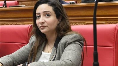 النائبة كريستينا عادل تتقدم بطلب إحاطة لكشف أزمات مدرسة النيل الدولية وقرارات مثيرة للجدل
