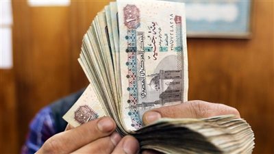 تأمين البطالة في قانون التأمينات.. شروط الاستحقاق وقيمة التعويض بالتفصيل