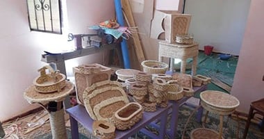 القانون ينظم سداد مستحقات الخزانة العامة للمشروعات المتعثرة.. اعرف إزاى؟