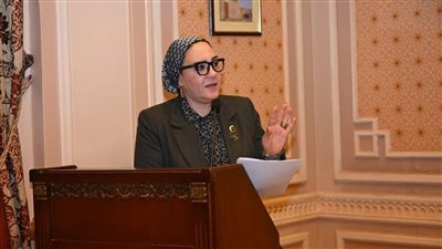 هناك محاولات وأجندات خبيثة على مواقع التواصل لزرع فتنة بين مصر والأشقاء العرب