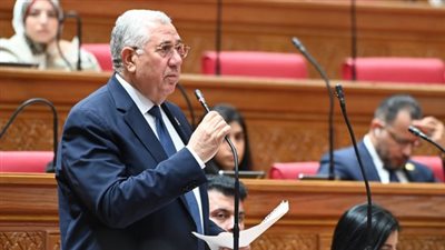 البيان المشترك لمجلسي النواب يجسد وحدة الصف الوطني ودعم مصر الكامل للأشقاء العرب