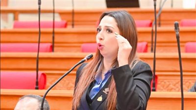 نشوى الشريف: مناقشة طلب إحاطة بشأن خطباء المكافأة على بند التحسين في «دينية النواب» الاثنين