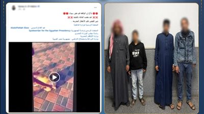تسببا في نفوقه.. القبض على طالبين أشعلا النيران في كلب بجنوب سيناء