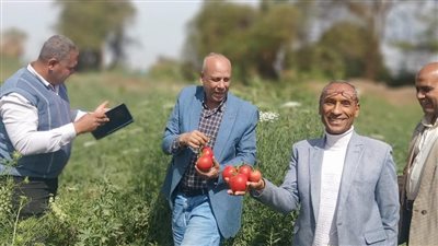 «الزراعة» تتفقد بحوث البساتين بشندويل بسوهاج وتتابع تطوير هجن الطماطم
