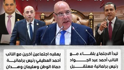 اجتماعات طارئة داخل البرلمان.. تحيا مصر ينفرد بتفاصيل لقاءات رئيس النواب مع الهيئات واللجان.. الأربعاء والخميس