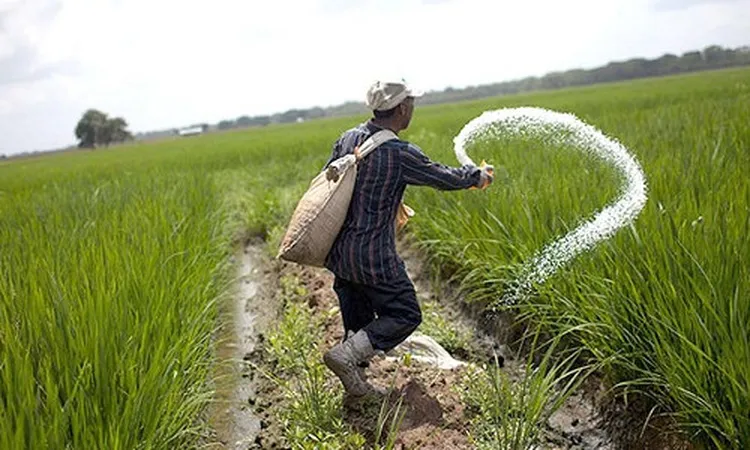 الزراعة: التواجد الميداني وتفعيل كارت الفلاح يضمنان وصول الدعم وحماية المحاصيل