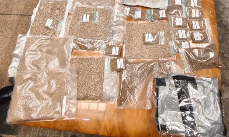 400 ألف بذرة من الماريجوانا بحوزة راكب عربي.. تفاصيل إحباط أكبر محاولة تهريب مخدرات في تاريخ مطار القاهرة