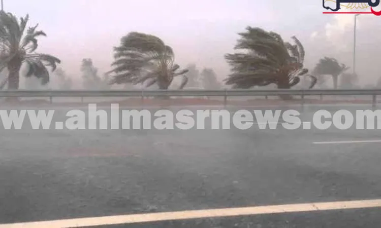 أمطار غزيرة تضرب سواحل البحيرة.. وتوقف حركة الصيد ببوغاز رشيد وميناء إدكو