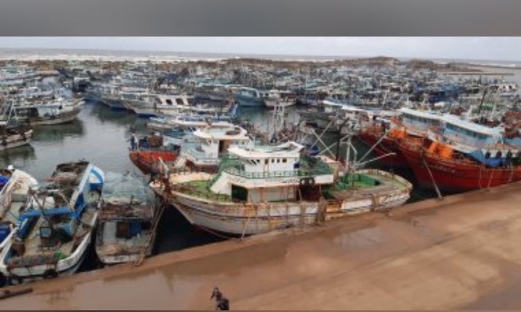 كفر الشيخ: عودة حركة الملاحة واستئناف رحلات الصيد من ميناء البرلس