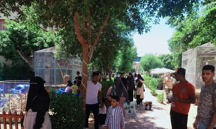 «الزراعة»: 67 ألف زائر لحدائق الحيوان بالمحافظات والأسماك خلال عيد الفطر