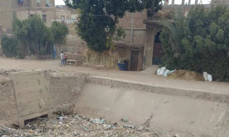 بين غياب الرقابة وتراكم القمامة.. مزارعو قوص يستغيثون بوزير الري ومحافظ قنا