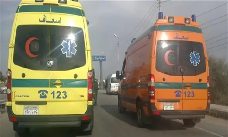 إصابة 9 أشخاص إثر انقلاب ميكروباص بقنا