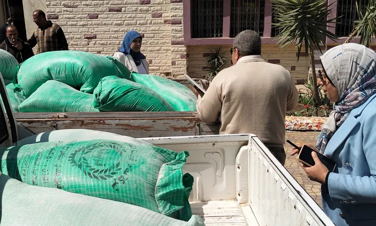 ضبط طن ونصف دقيق مدعم محظور تداوله قبل بيعه بالسوق السوداء في المنوفية