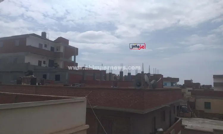 بعد يومين من التقلبات الجوية.. نشاط للرياح وسطوع الشمس في محافظة كفر الشيخ| صور